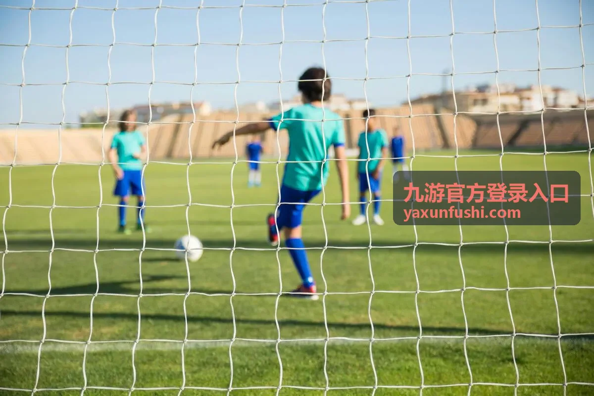 九游官方登录入口登录指引说明图